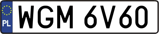 WGM6V60
