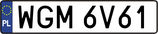 WGM6V61