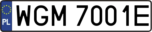 WGM7001E