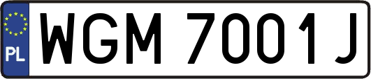 WGM7001J