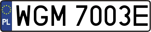 WGM7003E