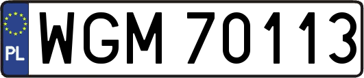 WGM70113