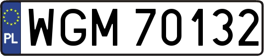WGM70132