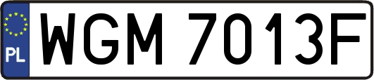 WGM7013F