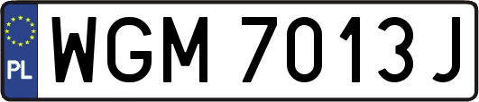 WGM7013J