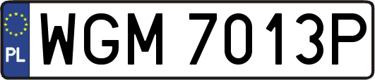 WGM7013P