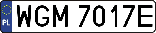 WGM7017E