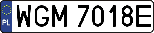 WGM7018E