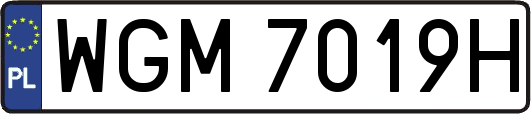 WGM7019H