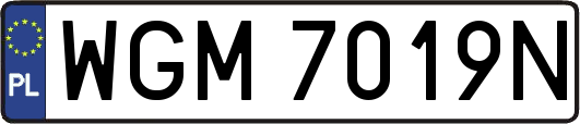 WGM7019N