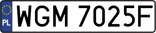 WGM7025F