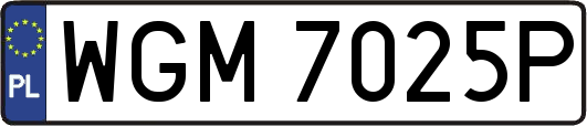 WGM7025P