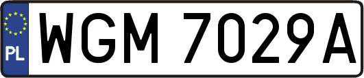WGM7029A