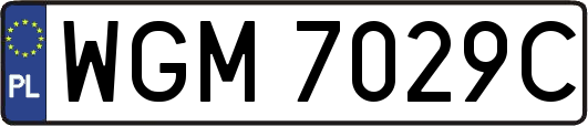 WGM7029C