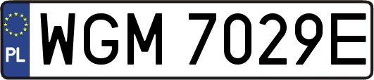 WGM7029E