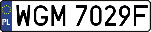 WGM7029F