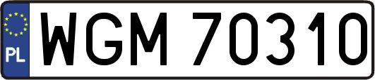 WGM70310