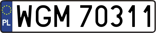 WGM70311