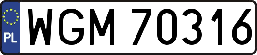WGM70316