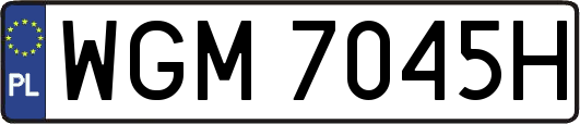 WGM7045H