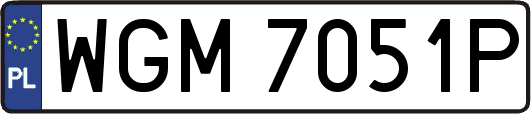 WGM7051P