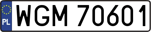 WGM70601