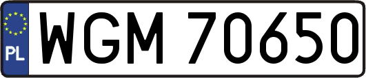WGM70650