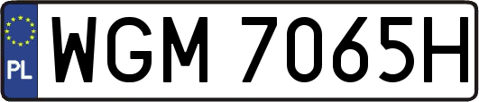 WGM7065H