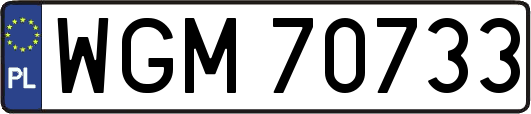 WGM70733