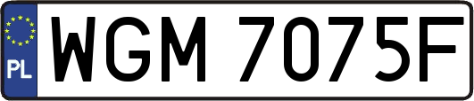 WGM7075F