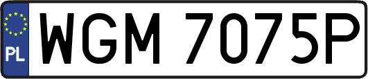WGM7075P