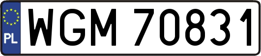 WGM70831