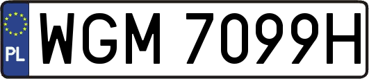 WGM7099H
