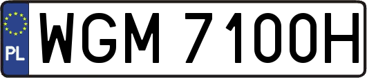 WGM7100H