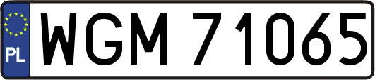 WGM71065