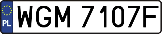 WGM7107F