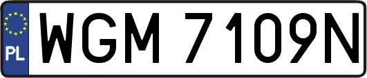 WGM7109N