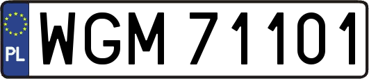 WGM71101