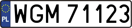 WGM71123