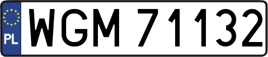 WGM71132