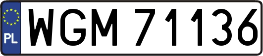 WGM71136