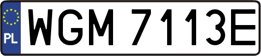 WGM7113E