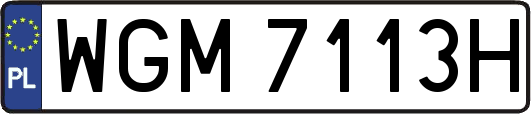 WGM7113H