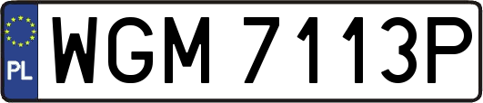 WGM7113P