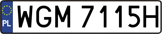 WGM7115H