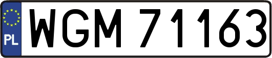 WGM71163
