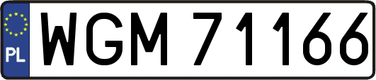 WGM71166