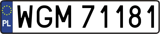 WGM71181
