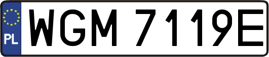 WGM7119E