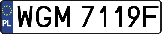 WGM7119F